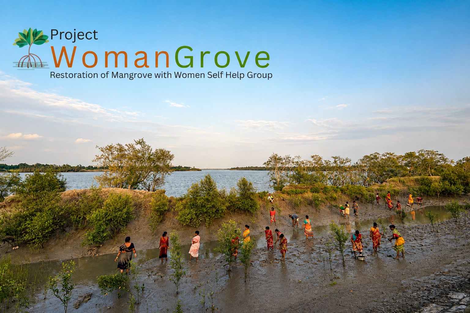 WomanGrove project site signage among restored tree cover